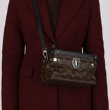 Louis Vuitton Monogram City Trunk Bag