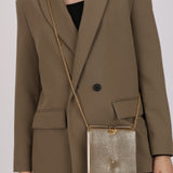 Limited Edition Gucci Box Clutch on Chain Metallic Galuchat Stingray