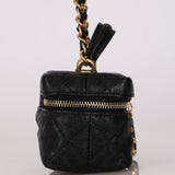 Chanel 2022 Top Handle Zip Around Vanity Case with Chain
