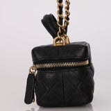 Chanel 2022 Top Handle Zip Around Vanity Case with Chain