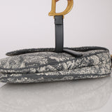 Dior 2021 Reverse Toile de Jouy Medium Saddle Bag
