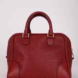 Loewe Anagram Embossed Monogram Amazona 32