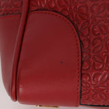 Loewe Anagram Embossed Monogram Amazona 32