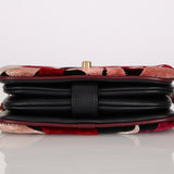 Chanel Mini Flap Paris Cosmopolite Velvet Camellia and Lambskin 2017 AGHW