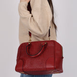 Loewe Anagram Embossed Monogram Amazona 32