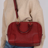 Loewe Anagram Embossed Monogram Amazona 32