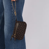 Louis Vuitton Fuzan Monogram Idylle Mini Pochette Accessoires