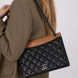 Chanel Ballerine Flap Bicolor Lambskin 2016 RHW