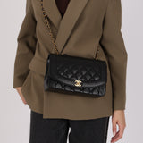 Chanel 1995 Lambskin Medium Diana Flap 24K GP