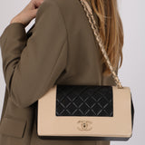 Chanel 2017 Bicolor Sheepskin Medium Mademoiselle Flap