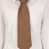 Louis Vuitton Damier Ebene Silk Tie