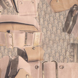 Dior Trotter Street Chic Bag Scarf