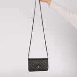 Chanel 2017 Iridescent Gray Caviar Wallet on Chain SHW