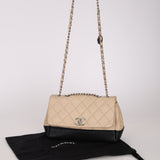 Chanel 2014 Bicolor Medallion Flap Bag