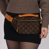 Louis Vuitton 2024 Monogram Rush Bum Bag