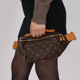 Louis Vuitton 2024 Monogram Rush Bum Bag