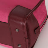 Loewe Tricolor Pink Chevre Amazona 28