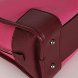 Loewe Tricolor Pink Chevre Amazona 28