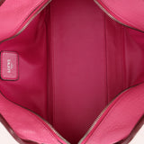 Loewe Tricolor Pink Chevre Amazona 28