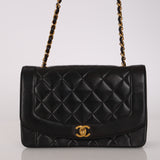 Chanel 1995 Lambskin Medium Diana Flap 24K GP