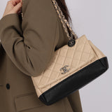 Chanel 2014 Bicolor Medallion Flap Bag