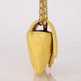 Chanel 2020 Yellow Caviar Sunglasses Case