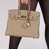 Hermès Birkin 25 Gris Tourterelle Togo 2018 GHW