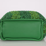 Limited Edition Loewe Watermelon Beaded Mini Squeeze