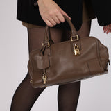 Loewe Taupe Soft Leather Amazona 28