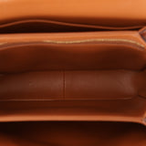 Celine Teen Triomphe Bag