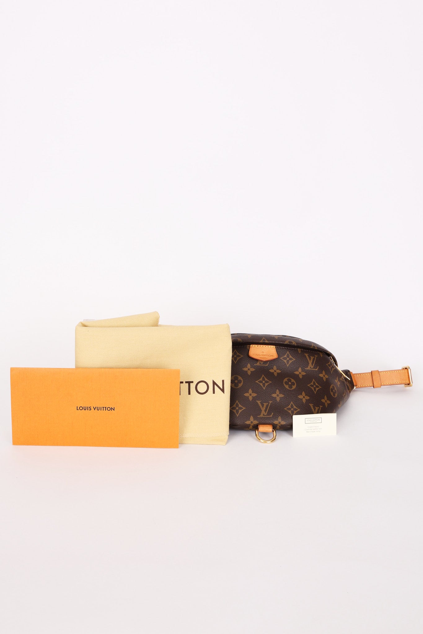 Louis Vuitton Monogram Bumbag