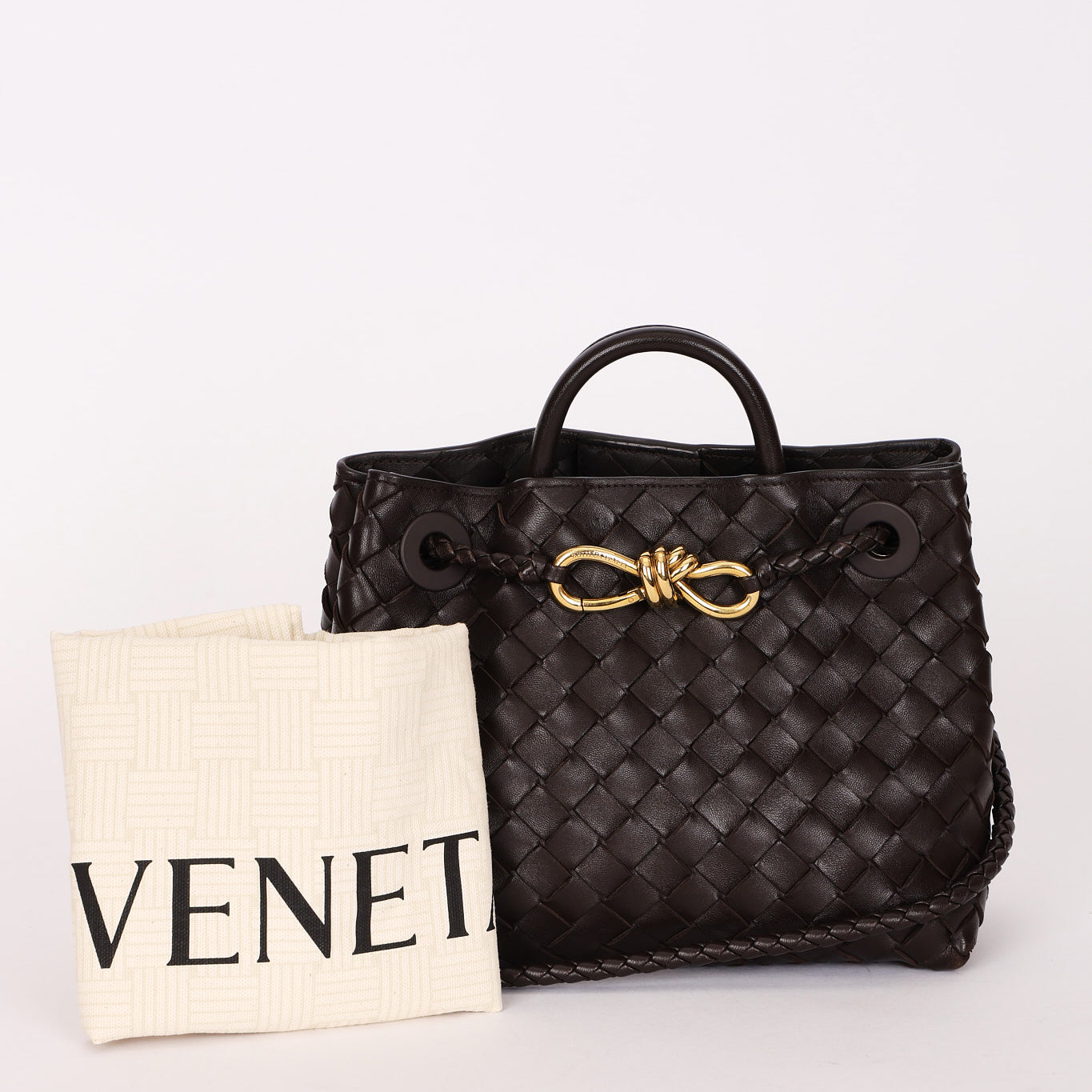 Bottega Veneta Small Andiamo Fondant
