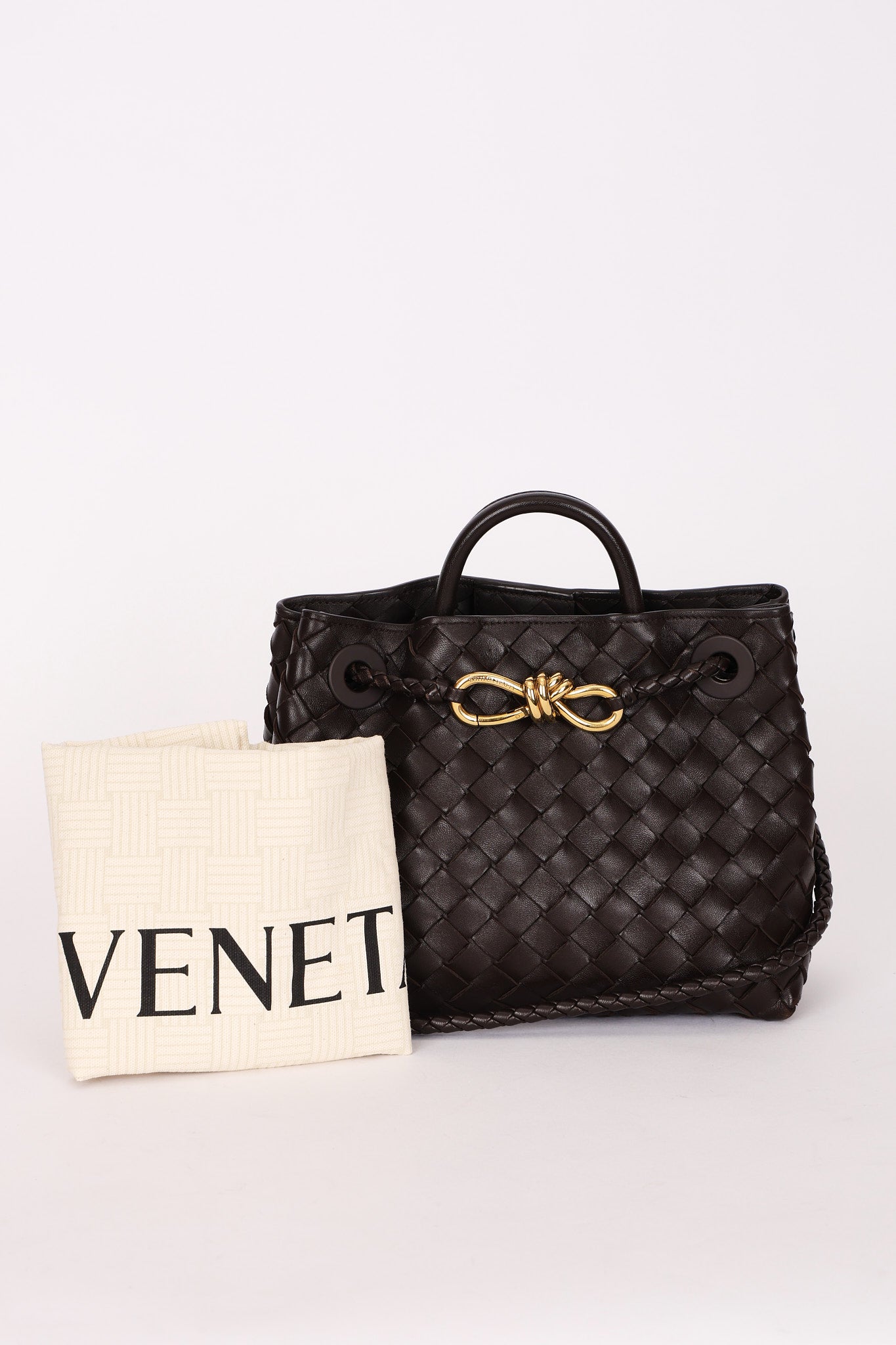 Bottega Veneta Small Andiamo Fondant