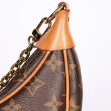 Louis Vuitton Monogram Loop Bag