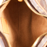 Louis Vuitton Monogram Loop Bag
