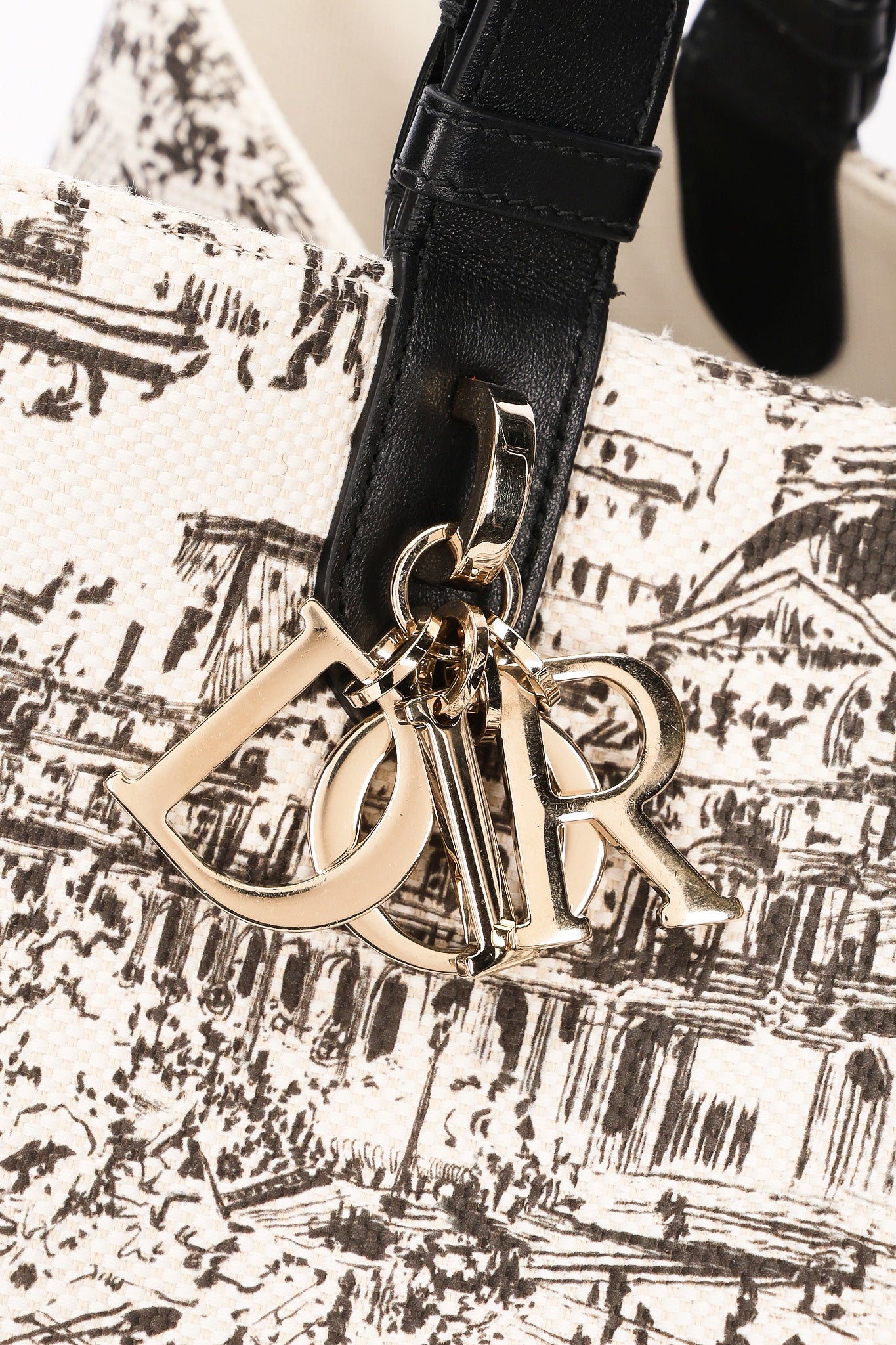 Dior Large Toujours Bag