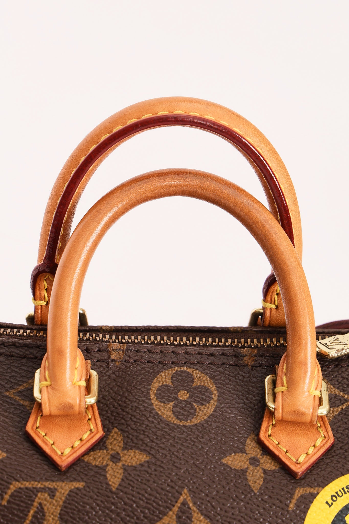 Louis Vuitton Monogram World Tour Nano Speedy
