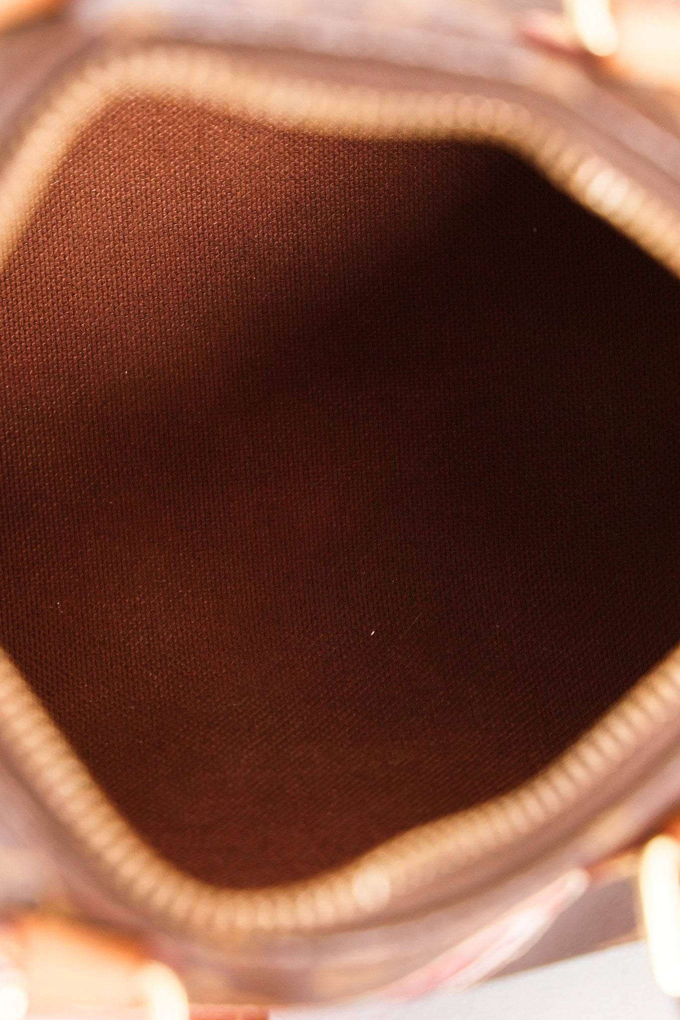 Louis Vuitton Monogram World Tour Nano Speedy