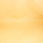 Louis Vuitton Epi Pochette Butter Yellow