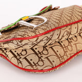 Christian Dior Rasta Trotter Saddle Bag