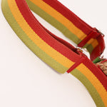 Christian Dior Rasta Trotter Saddle Bag