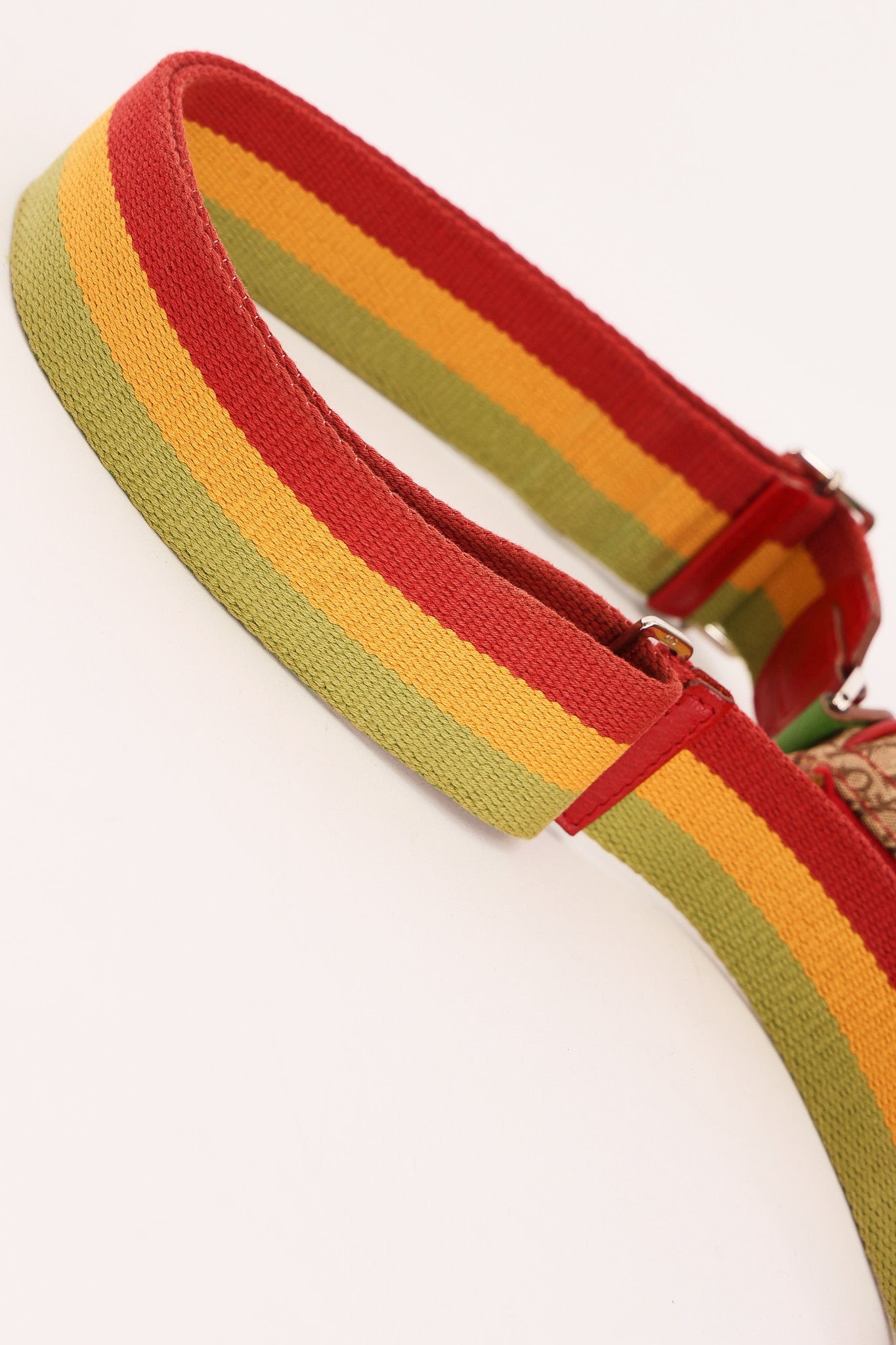 Christian Dior Rasta Trotter Saddle Bag