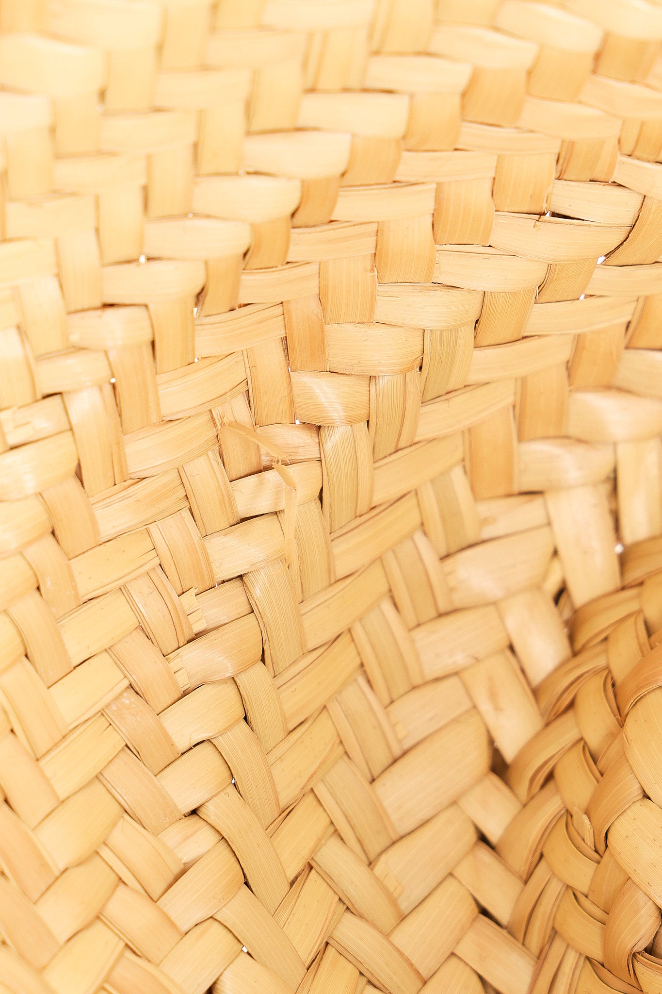 Loewe Basket Bag