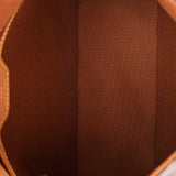 Louis Vuitton Monogram Mini Looping Bag