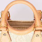 Louis Vuitton Monoglam Jacquard Nano Speedy