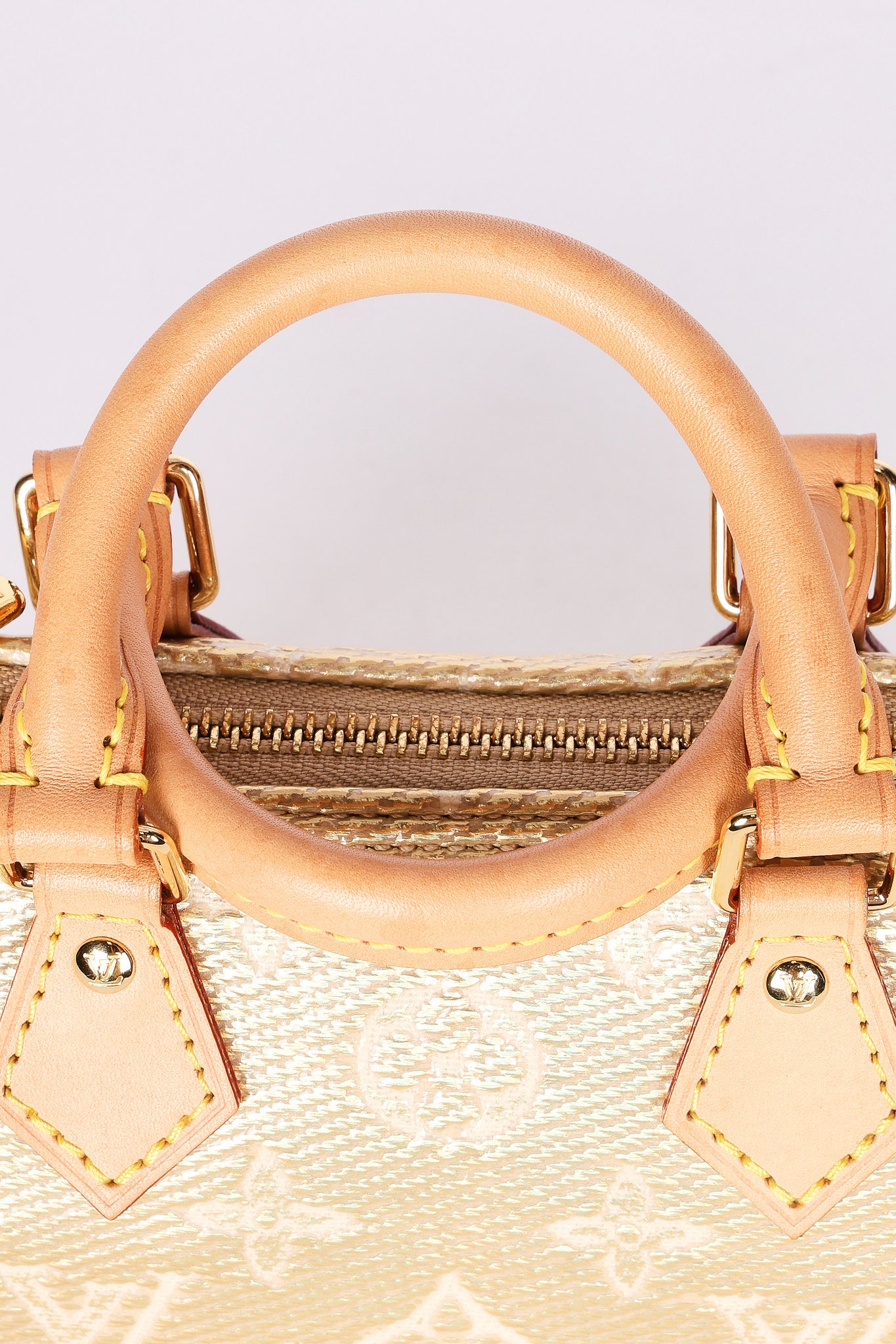 Louis Vuitton Monoglam Jacquard Nano Speedy