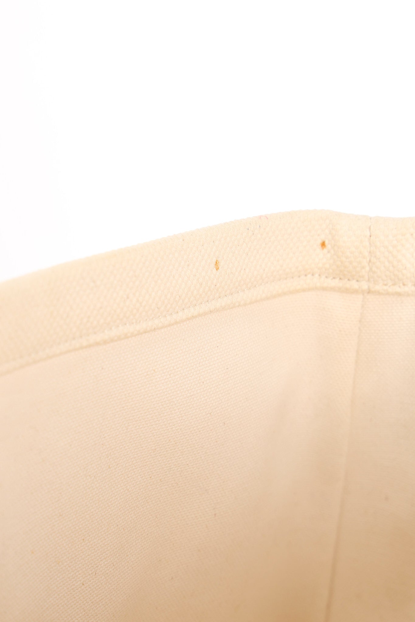 Celine Canvas Horizontal Cabas Tote