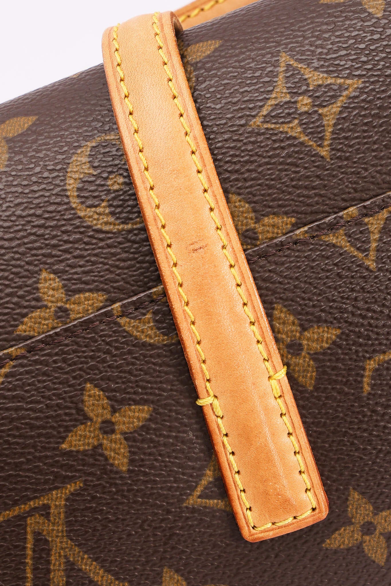 Louis Vuitton Monogram Sonatine Bag