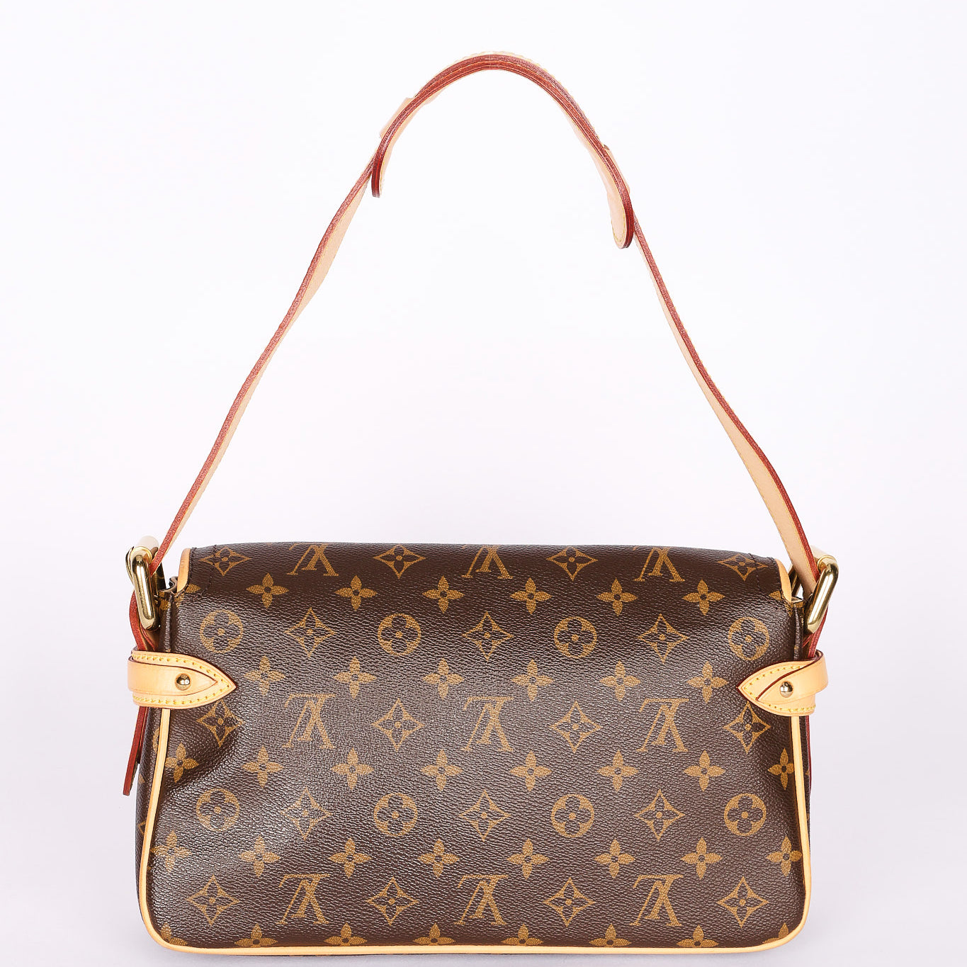 Louis Vuitton Monogram Hudson PM