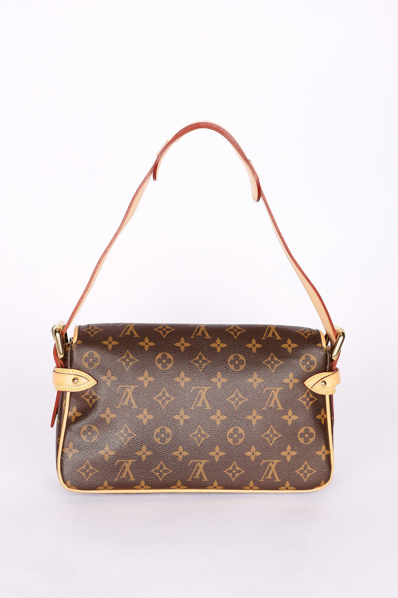Louis Vuitton Monogram Hudson PM